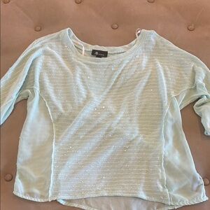 Light Blue Sheer Top